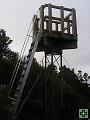 thn_Steward Island 008.jpg